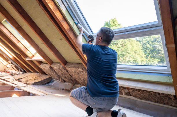 Best Residential Window Installation  in Ione, CA